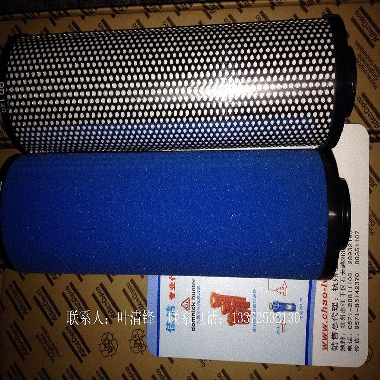 滤芯DDP75+ 阿特拉斯除水滤芯 2901207974