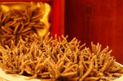 回收冬虫夏草13439830111收购阿胶海参燕窝