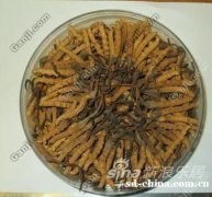 回收无人机13381455448收购冬虫夏草回收礼品 回收无人机13381455448收购冬虫夏草回收礼品