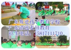 广东叛逆孩子学校，清远麦田叛逆孩子教育学校